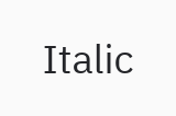 Text: italic=True