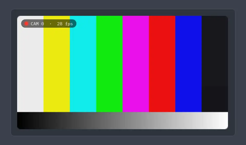 A webcam view with a recording badge showing the moving test pattern